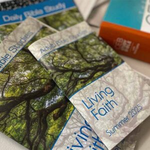 Adult Bible Studies books