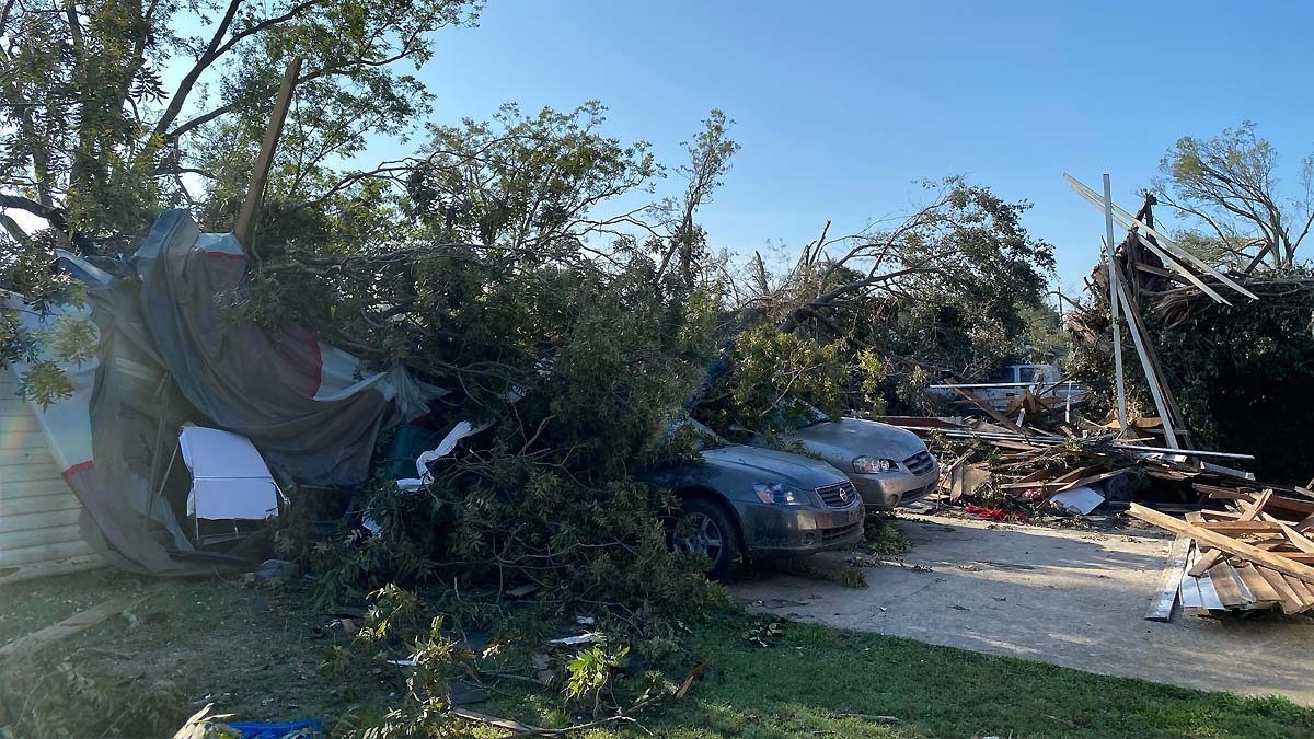 Tornado damage: trees down over cars