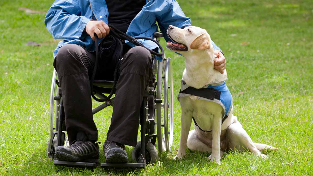 Creating Welcoming Spaces for All: Disability Ministry Resources and Upcoming Webinar