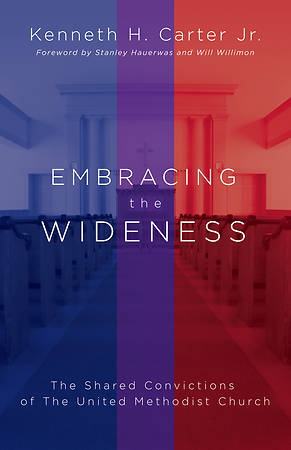 embracing the wideness cover