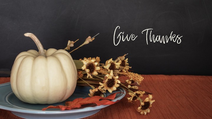 Gratitude Studies and Thanksgiving Programs