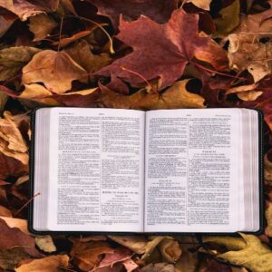 Bible on Fall leaves