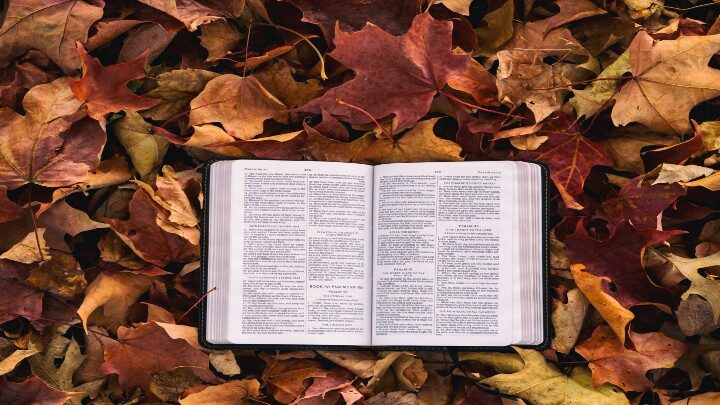 Bible on Fall leaves