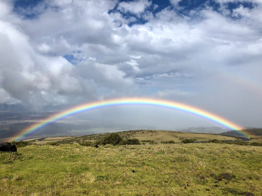 Rainbow Covenant And Advance Outreach Ministry