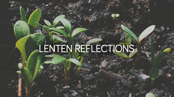 Lenten Reflection Wrap-Up