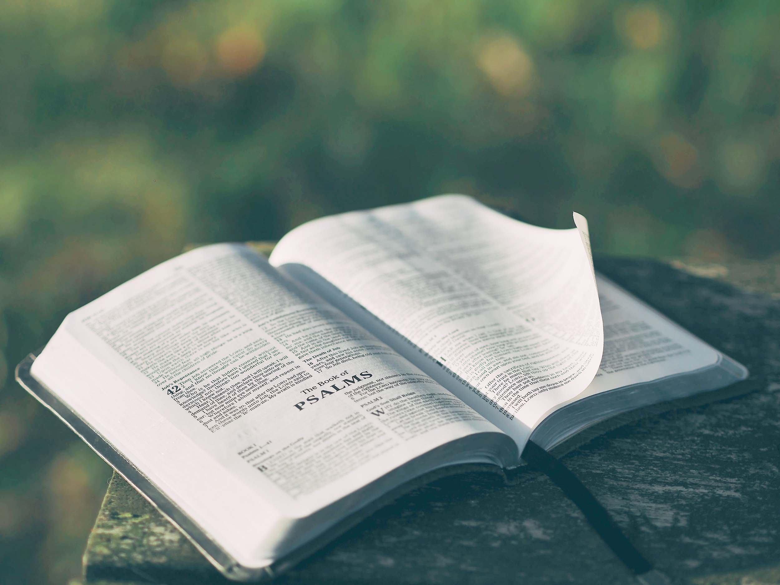 Open Bible on table outside