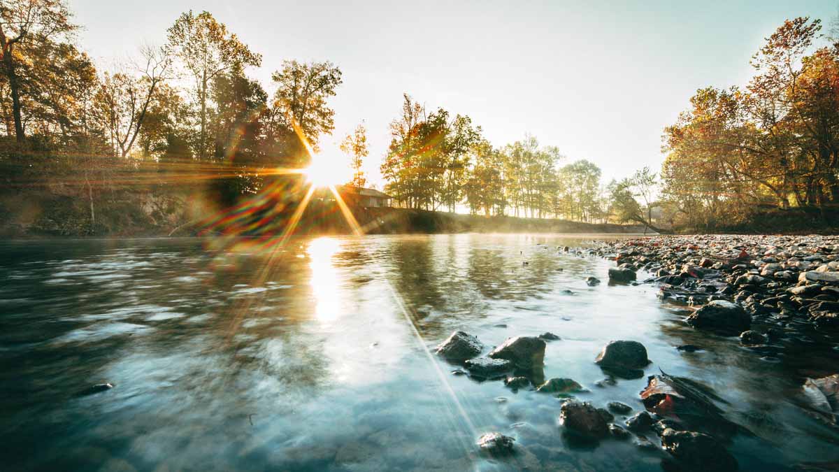 Worship Planning for the Season of Creation: September 1 – October 4, 2025